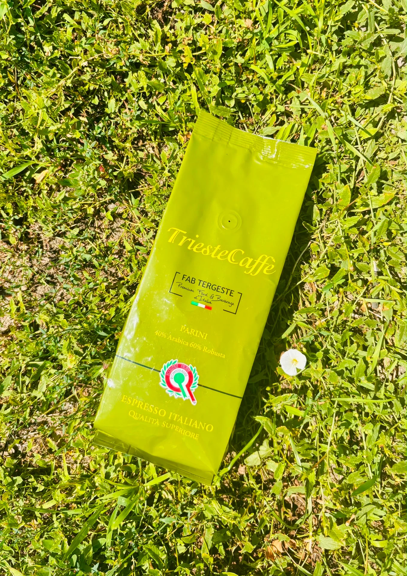 TriesteCaffè Parini — zdjęcie produktu